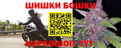 2c-b Новозыбков