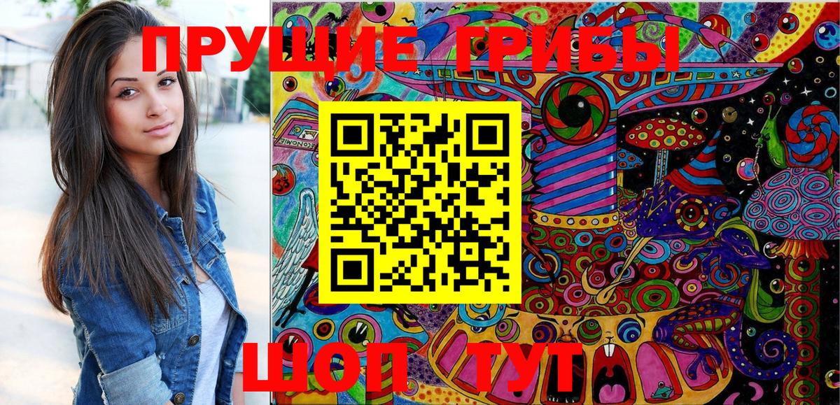 Ульяновск  Псилоцибиновые грибы Cubensis  Вход с VPN  Галлюциногенные грибы Psilocybine cubensis 